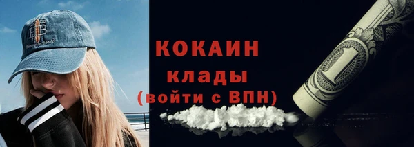 тгк Алексин