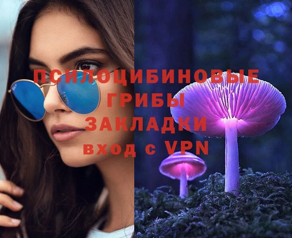 тгк Алексин