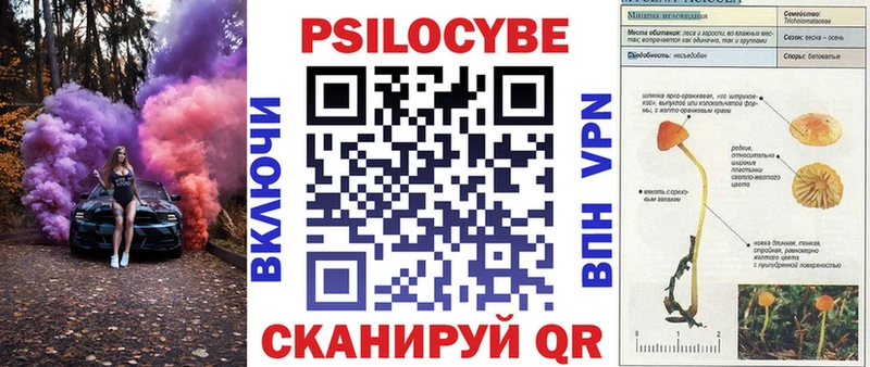 Псилоцибиновые грибы прущие грибы Купить закладки Каргат